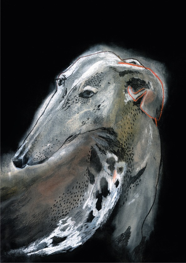 Sandra Garayoa ilustradora galgo