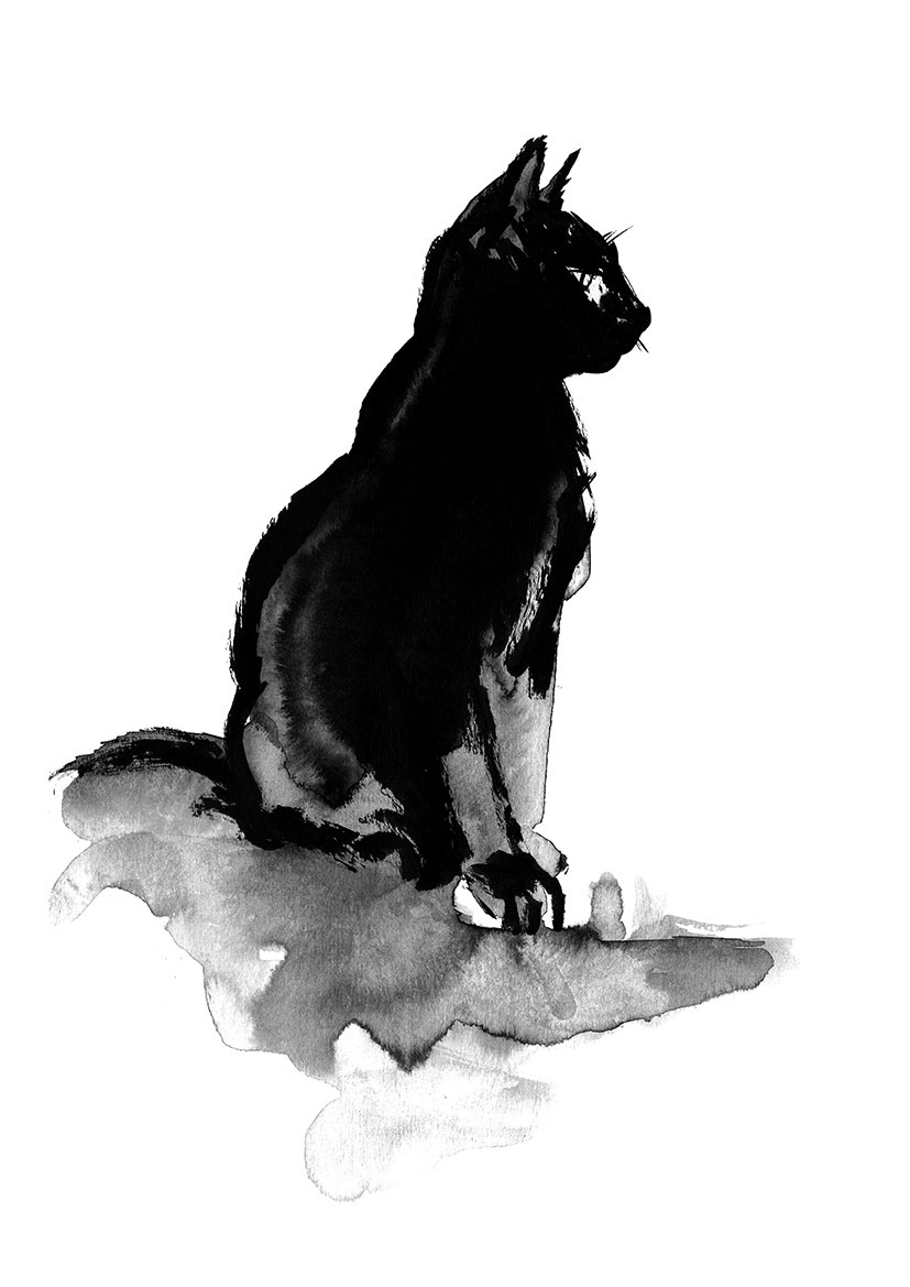 Alberto Muriel Ilustrador: Dibujo de Gato Negro Gris